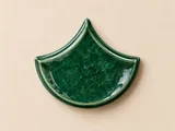 پولک ماهی