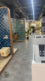 دورة مياه ببلاط مغربي فانوس كحلي (4)