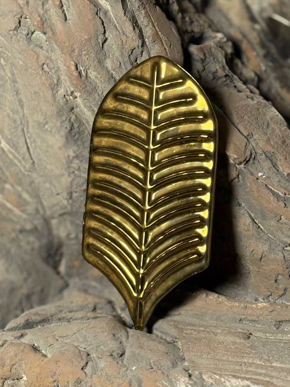 کاشی فیکوس طلایی